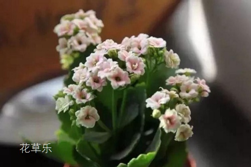 非标钢结构系列国产婷婷综合在线电影技术实力，服务保障